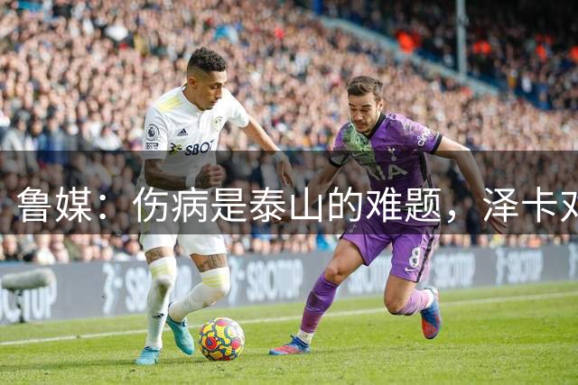 鲁媒：伤病是泰山的难题，泽卡对阵海港被换下因内收肌发紧